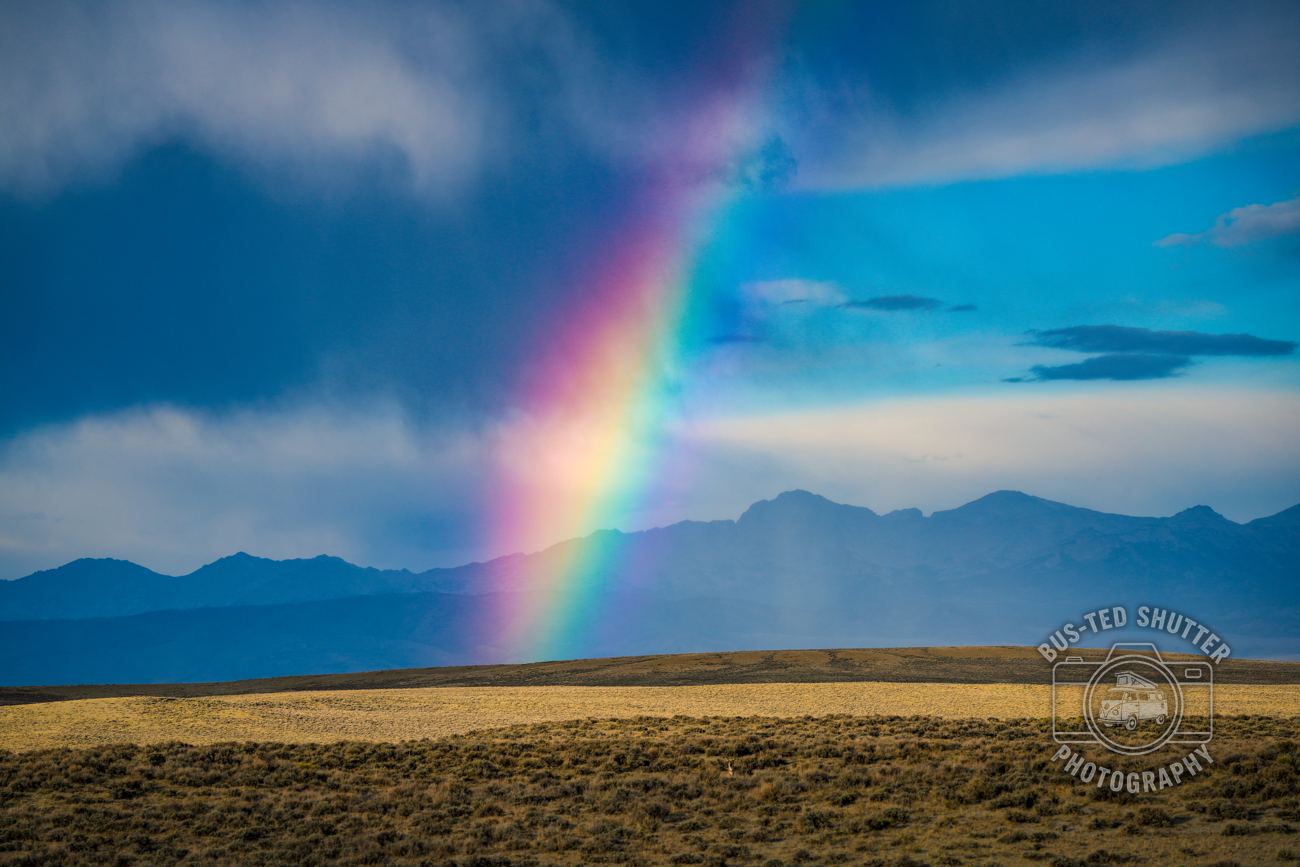 After the Rain — fine-art print