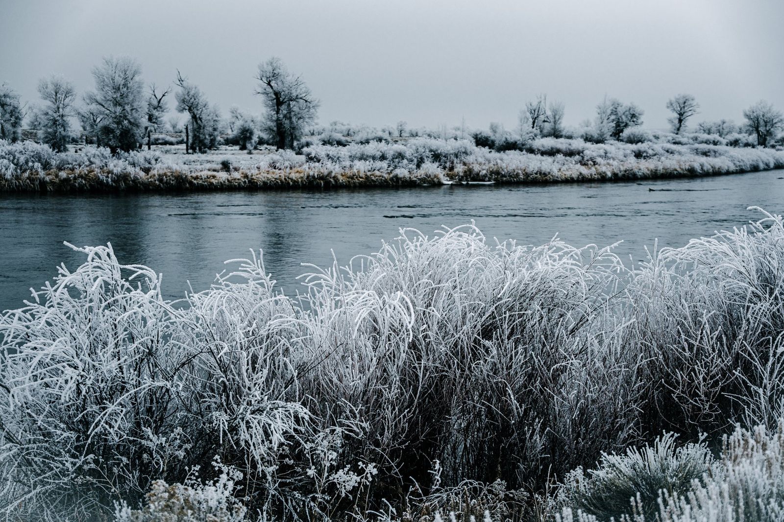 Blue River Bend — fine-art print