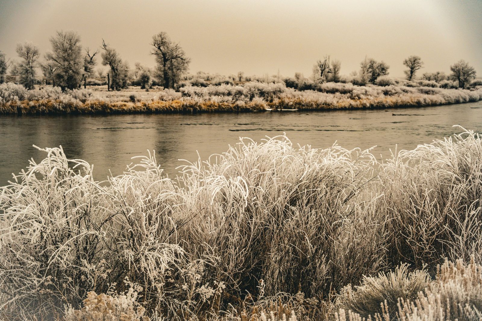 Golden River Bend — fine-art print